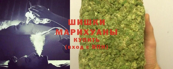гидра Абаза