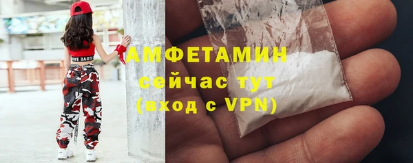 гидра Абаза
