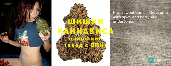 гидра Абаза