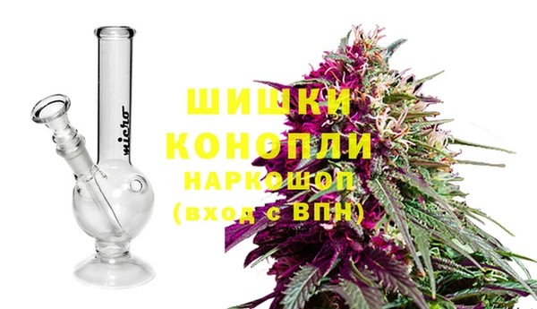 гидра Абаза