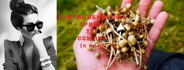 мдма Абдулино