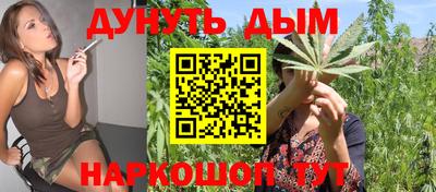гашиш Новодвинск