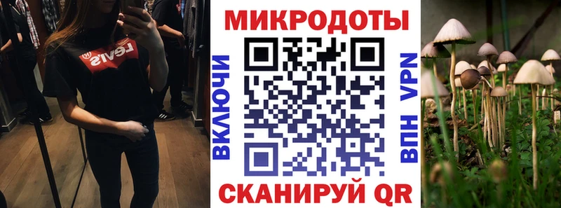 Псилоцибиновые грибы Psilocybine cubensis это официальный сайт Черногорск цена наркотик