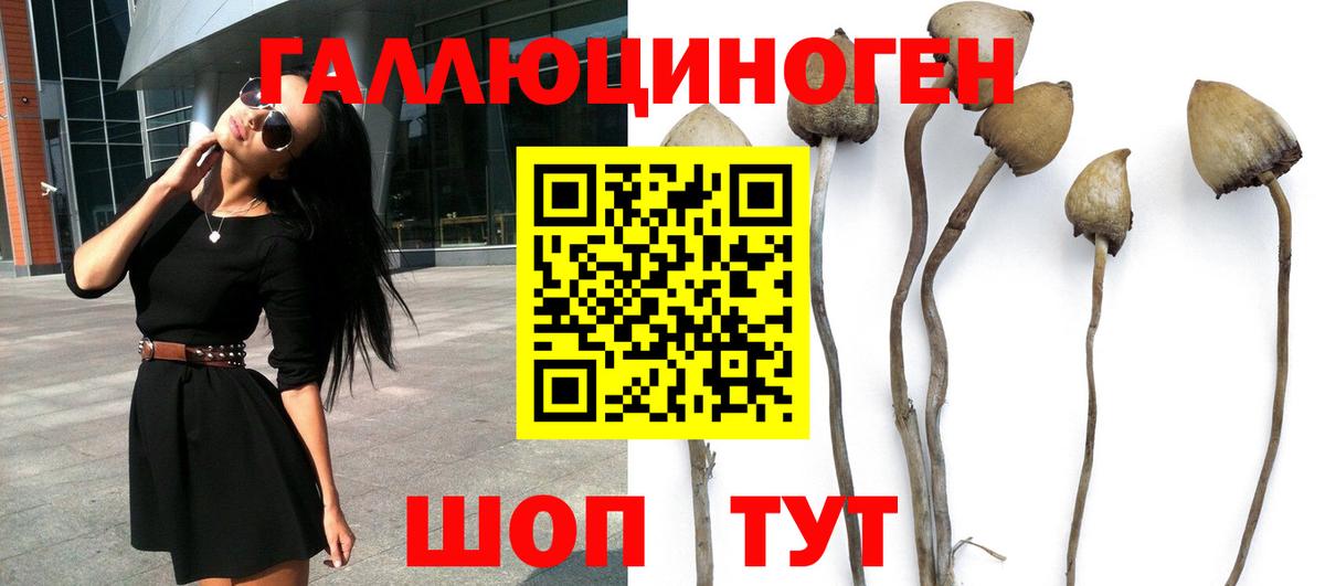 Галлюциногенные грибы Cubensis  Вход с VPN  Черногорск 